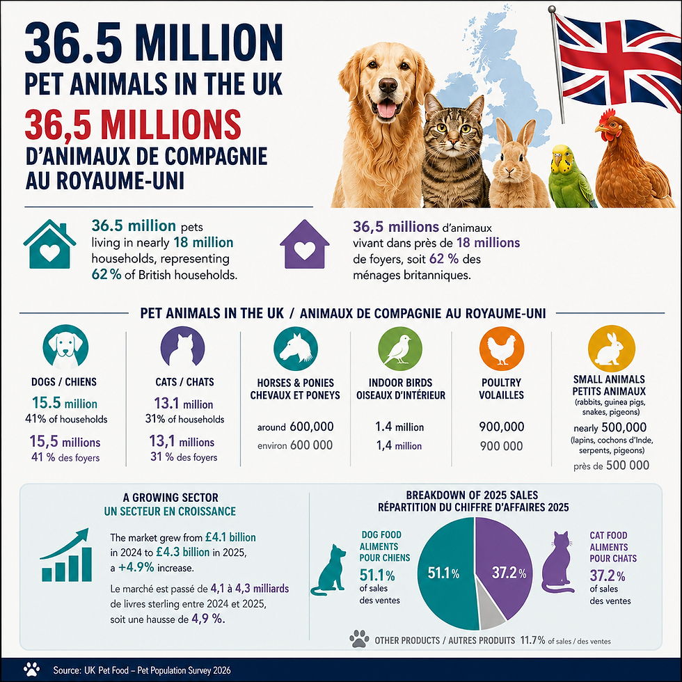 36,5 millions d’animaux de compagnie au Royaume-Uni