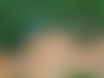 Déforestation : l’application de l’EUDR reportée d’un an