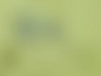 „Како кентаурите носат панталони“ од Ненад Костиќ (препев на избор песни)