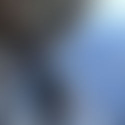 Leading the Way in Oily Wastewater Treatment