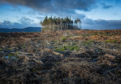 Wastewater Treatment and Climate Change