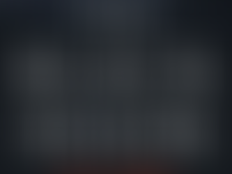 INTELLIGENCE SERVICES 101