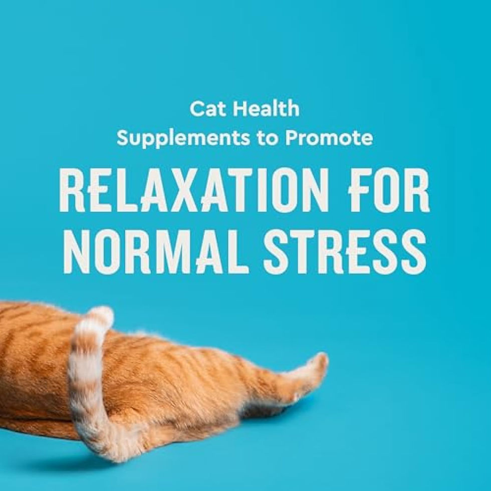 Thumbnail: VetIQ Cat Calming Chews with Melatonin and GABA for Anxiety Relief - Chicken Fl