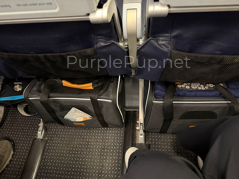 two pets with one flight nanny