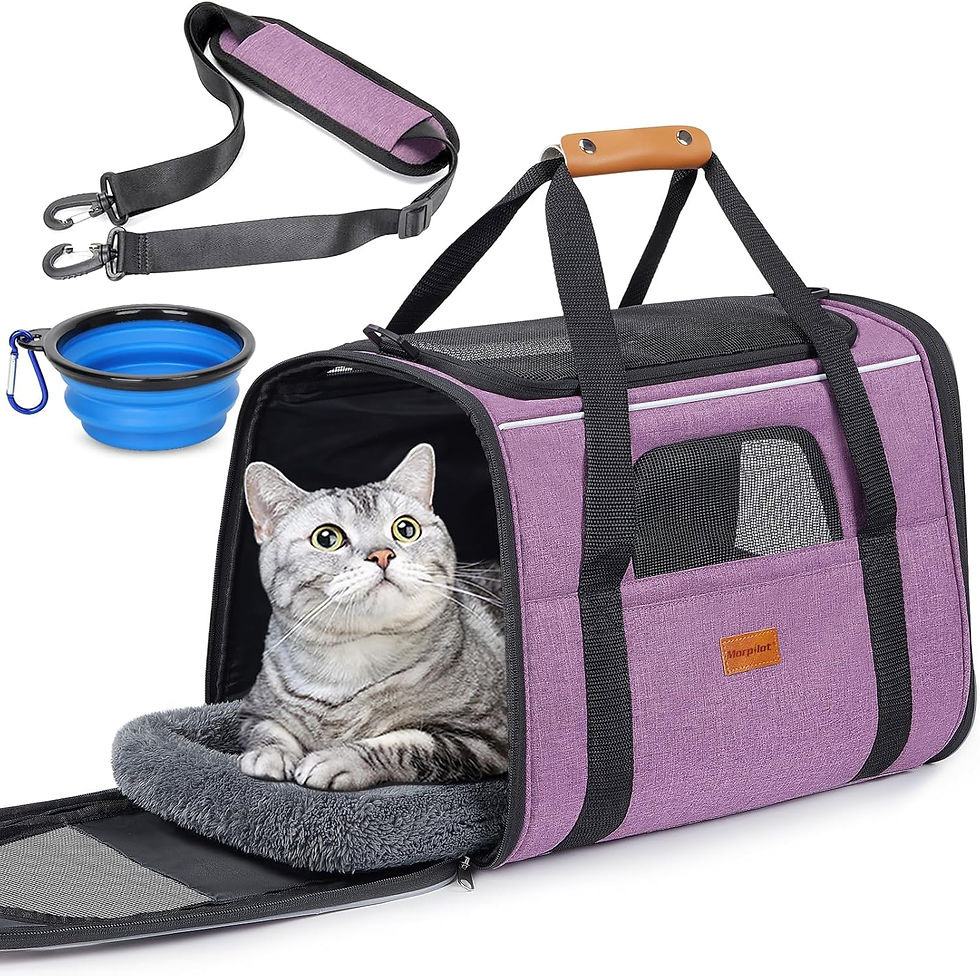 Thumbnail: Morpilot Cat Carrier - Cat Carrier Soft for Medium or Large Cats up to 20lbs, w