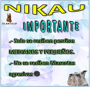 IMPORTANTES 3.png