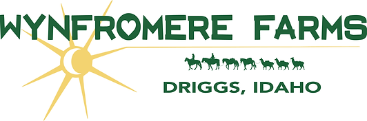 Wynfromere Logo.png