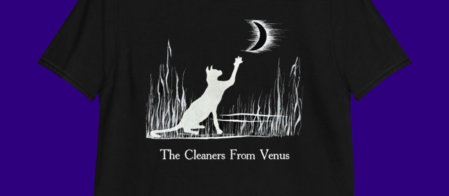 New T-Shirts! The Number Thirteen Cat in black or white.