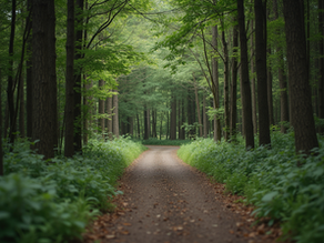 Moving Ahead When Things Get Tough