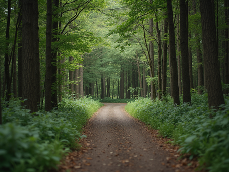 Moving Ahead When Things Get Tough