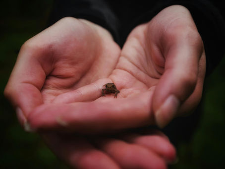 Tiny Acts of Bravery: How Tiny Acts of Bravery Transform Your Life
