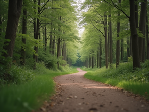 Restart Your Life Journey: Revitalize Your Life After Setbacks