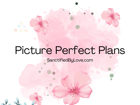 Picture Perfect Plans
