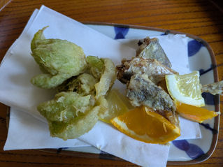 ビターな春来た。でもまだまだ寒っ🧥