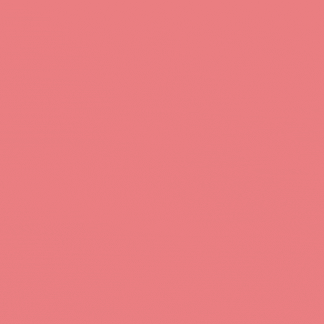 Fit Fuel Focus Veelgestelde vragen