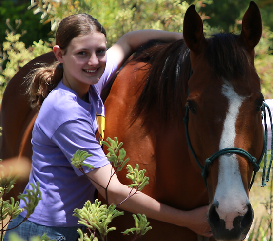 Equine-assisted therapy with MacGyver