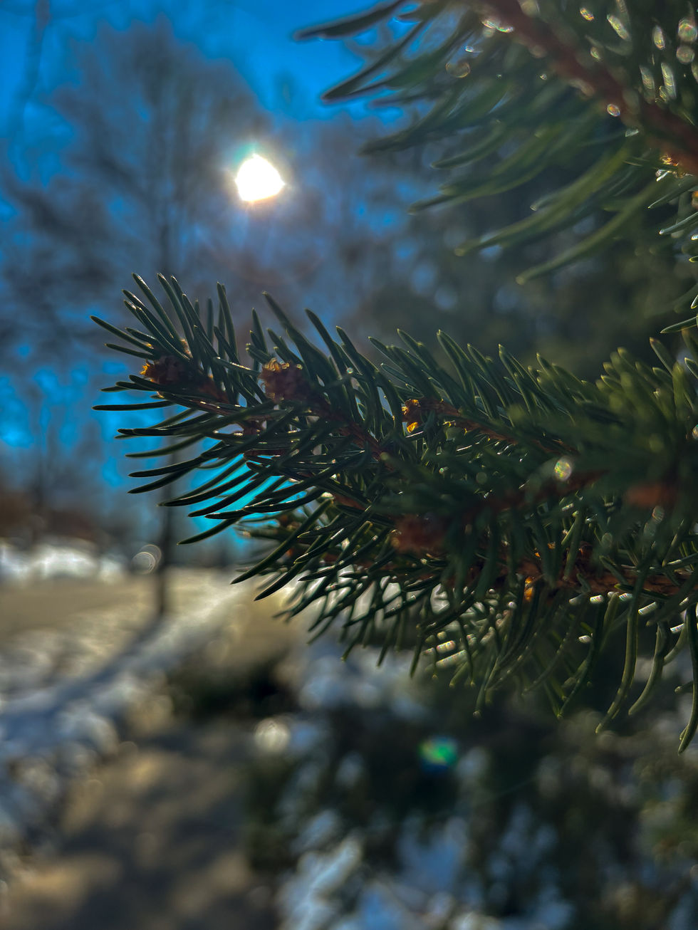 8DA7797D-3E99-4B7B-8222-E37F75E41D49