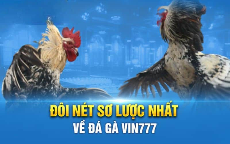 COCKFIGHTING AT VIN777
