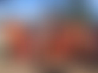 LVDVS BERGIDVM FLAVIVM. Cacabelos 2-7 agosto 2022