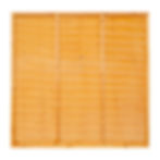 GSL6 Cutout Back.jpg