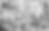 Web Design.png