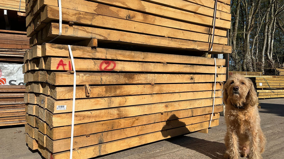 Stack of White Oak sleepers with red marking and barcode label, pictured next to a friendly dog sitting on the yard in the sunshine.