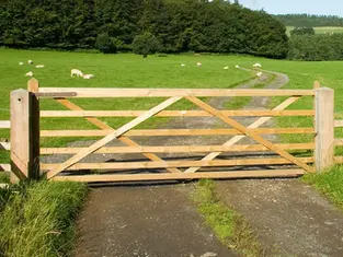 Wooden gate blocks a rural path in a lush green pasture with sheep grazing and a dense forest background under sunny skies.