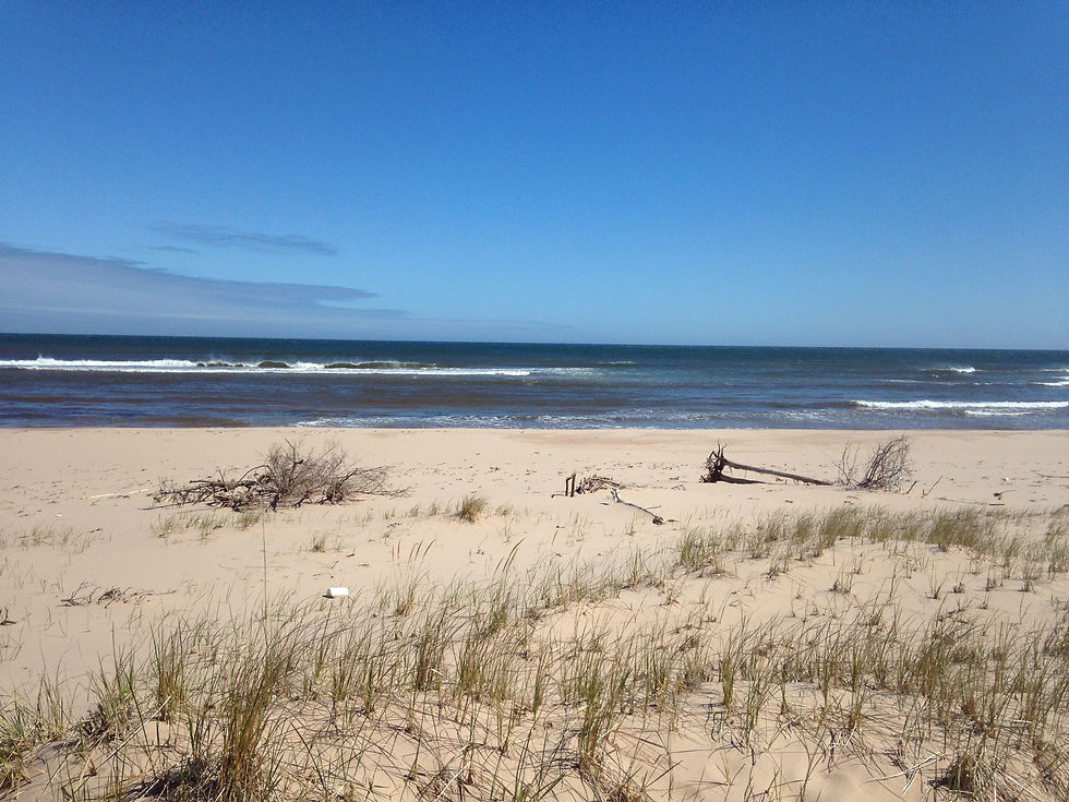 beach 1