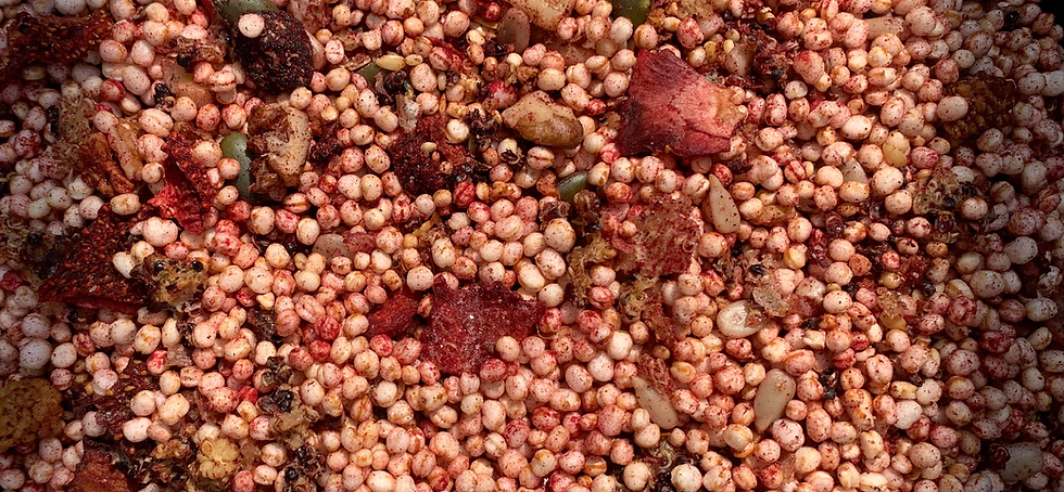 granola up close banner shot.HEIC