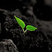 majharul-islam-Fd83tRfRBf8-unsplash_edit
