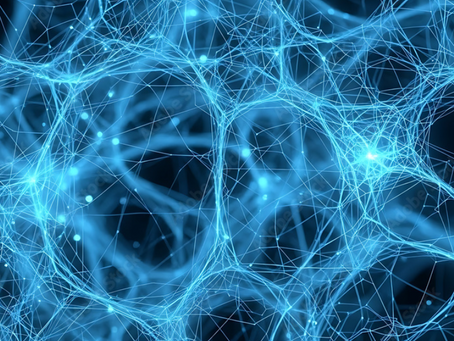 Connexion neuronales