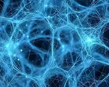 Neuroplasticité autodirigée
