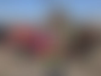 Chambersburg Beer Runners 3rd Annual Kegs & Eggs Event