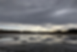 IMG_20190917_091736_edited.png