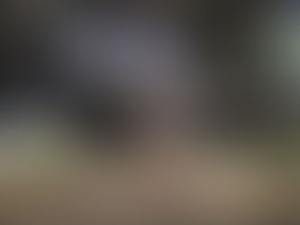 "Living your best life" now...