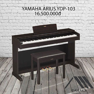 YDP 103-3.jpg