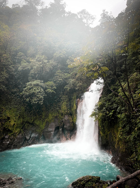 jancy-barahona-fNj43DoRZhc-unsplash.jpg