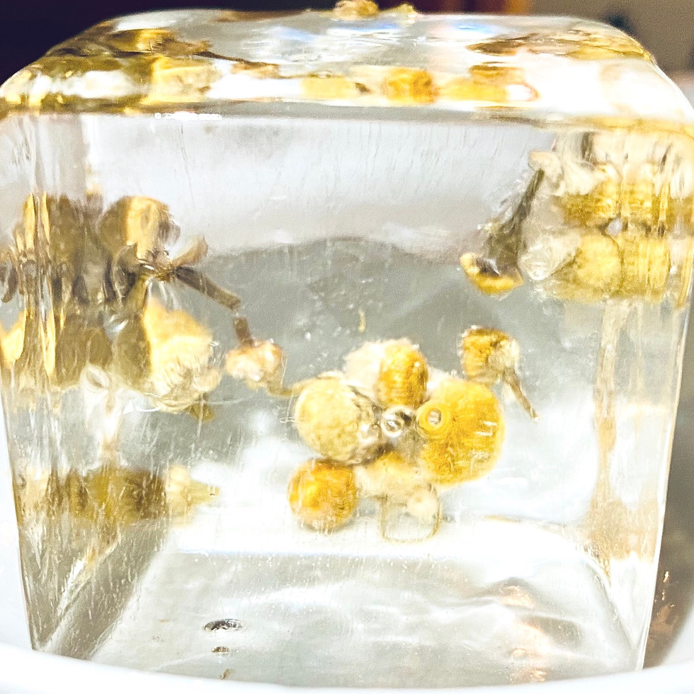 Thumbnail: Clear ice with chamomile flowers (base + $6) 
