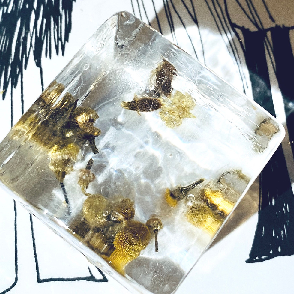 Thumbnail: Clear ice with chamomile flowers (base + $6) 
