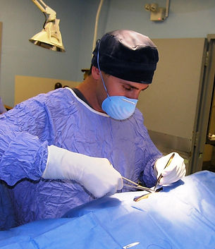 Dr, Marc Kramer, DVM: Chief Veterinarian