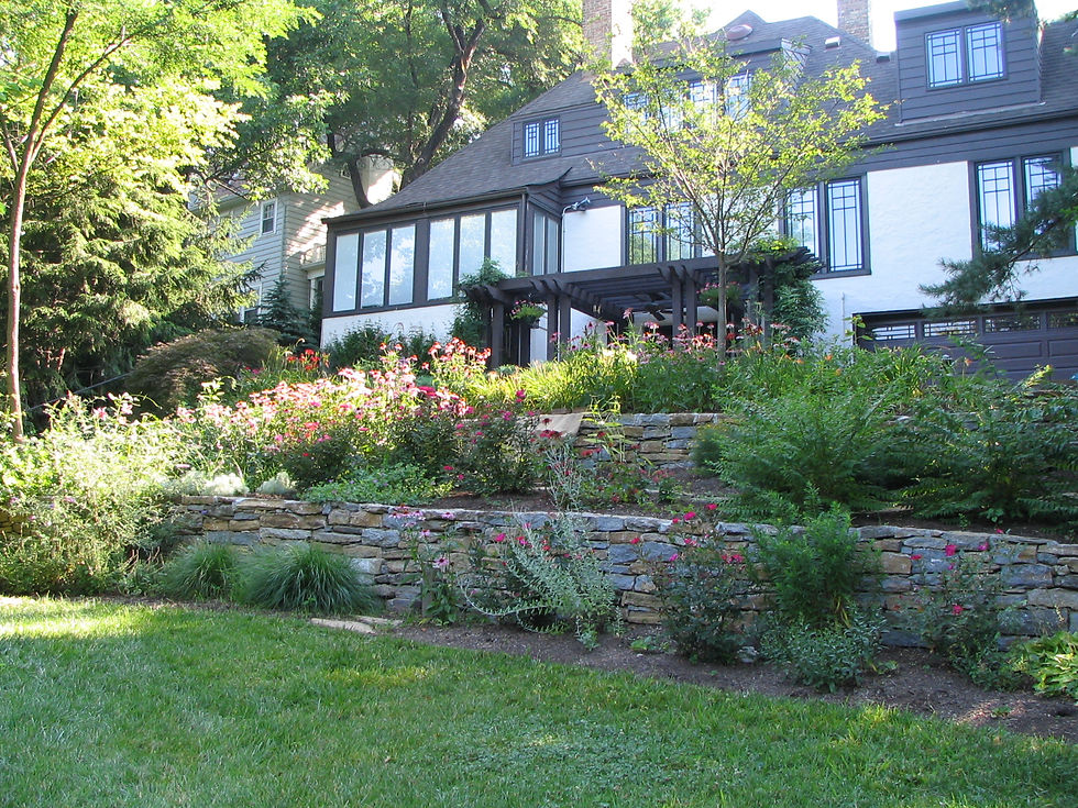 The Terraced Hillside