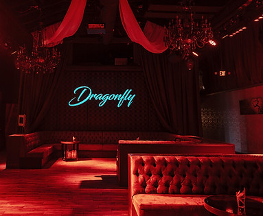 Nightlife Venue Development Project Hollywood