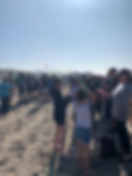 IMG_3933.jpeg
