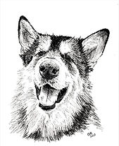 31 Danny Komora- Bear.jpg