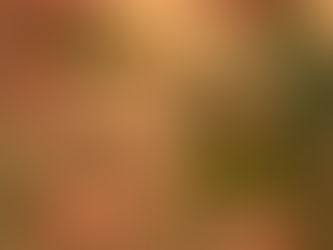 Live Comedy Night - 6th August