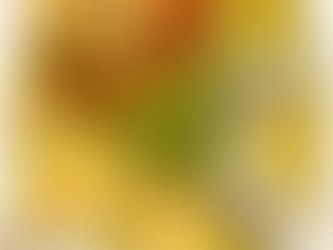 Spinach Tzatziki, Harissa Humus & cool Fresh Salsa on Sourdough