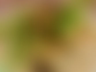 Chipotle chicken flatbread