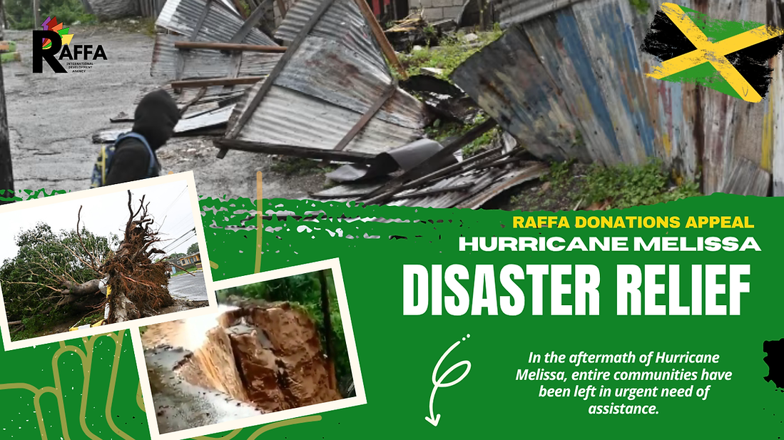 Hurricane Melissa Appeal (Website) (1).png
