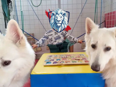 Docházková canisterapie pro Dominička