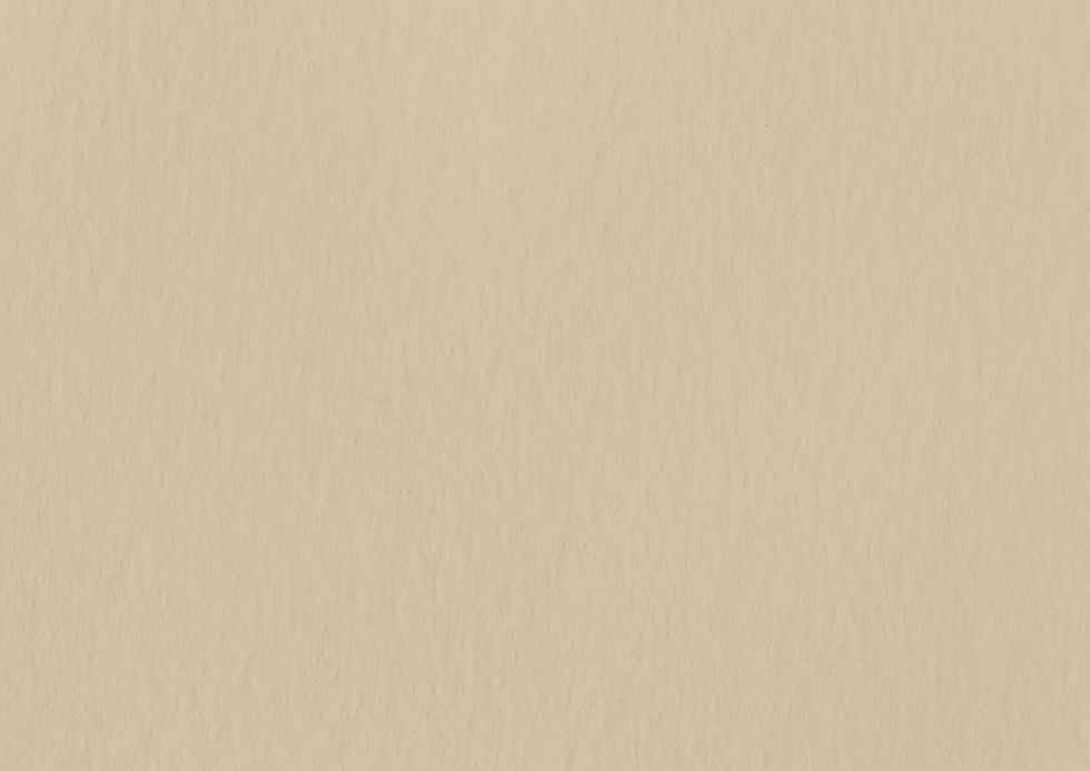 FONDO MARRONCITO_edited.jpg